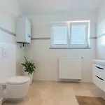 Igor Apartment Medulin